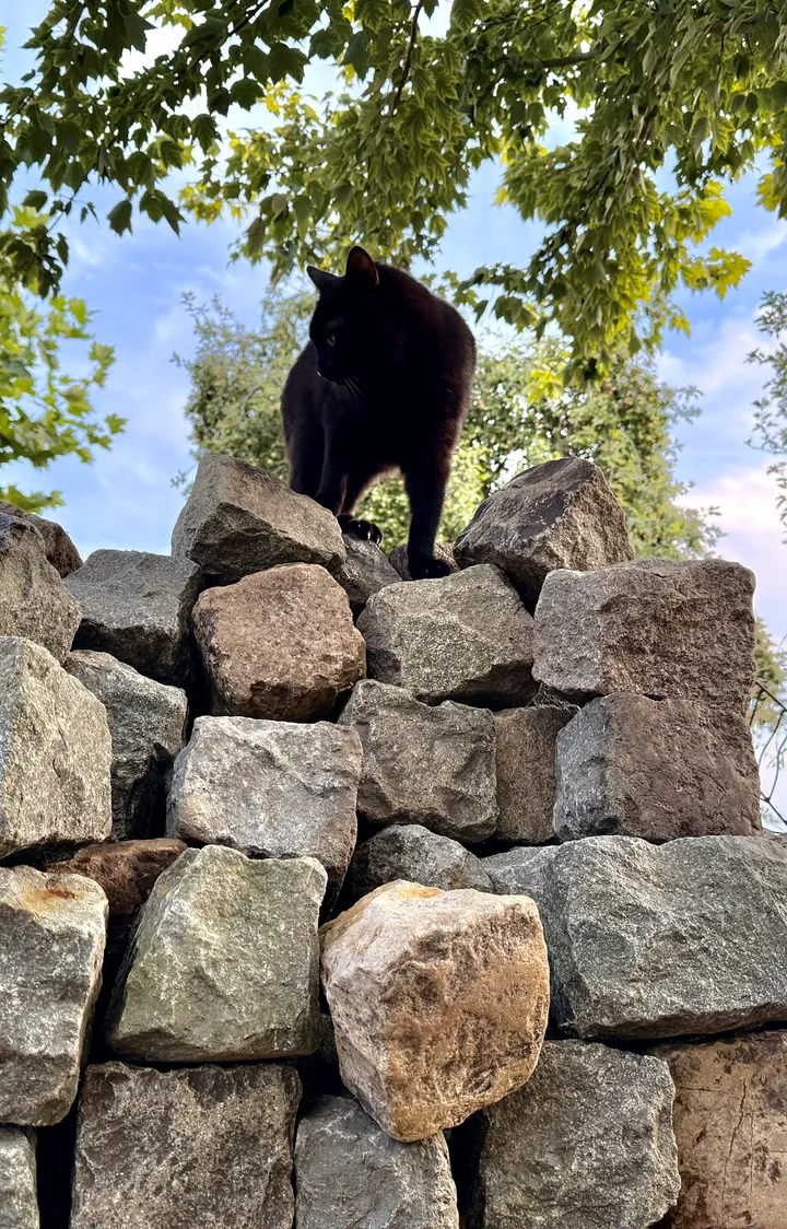 The first inspection of the new workspace, from the top of the cobblestone pile.